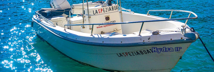 后疫情时代，我们应该如何选择消毒产品  ? 如何查询消毒杀菌产品的备案信息