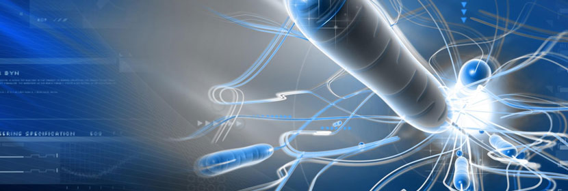 细菌内毒素检测