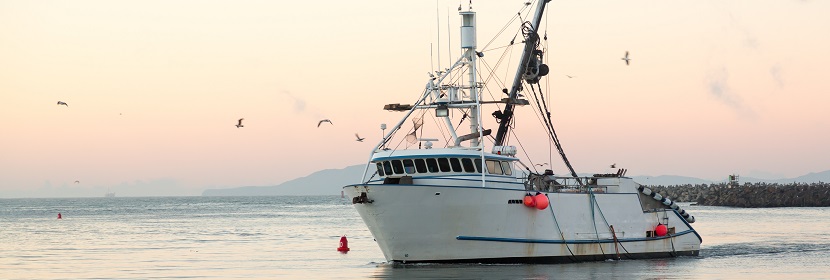 船舶设备碰撞试验