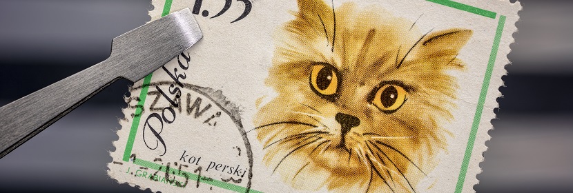 邮戳检验器检测