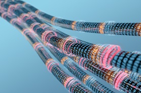 高分子材料人工加速老化实验