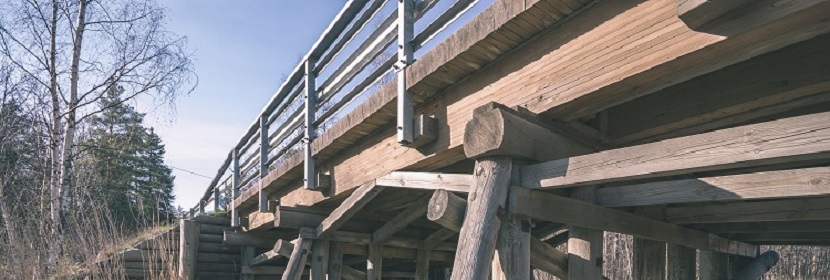 建筑木塑复合材料防霉试验