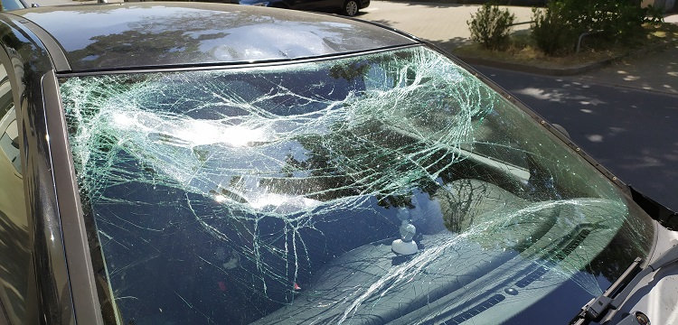 CCKBR敲除小鼠造盐敏感性高血压模型