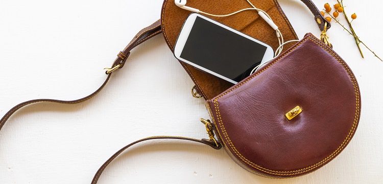 H5N1气管镜感染猪模型