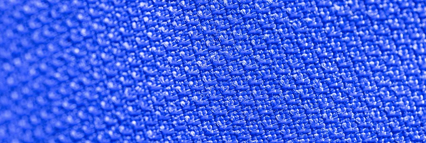 气管途径感染BALB/c小鼠模型