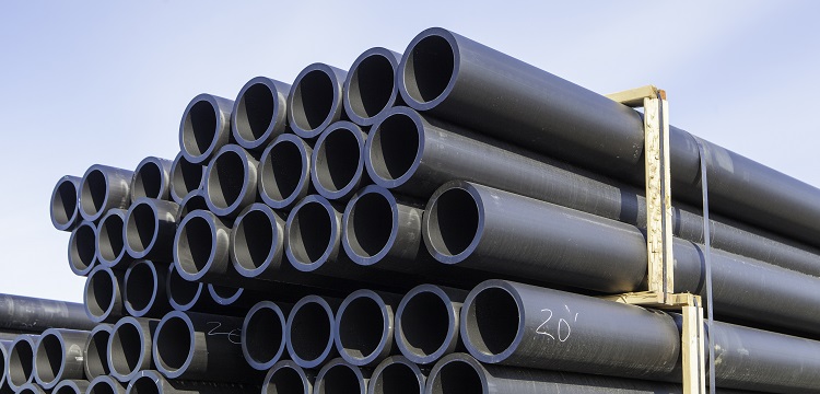 SARS-CoV-2 接触感染仓鼠模型