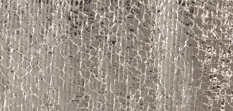 大鼠颈髓挫伤模型