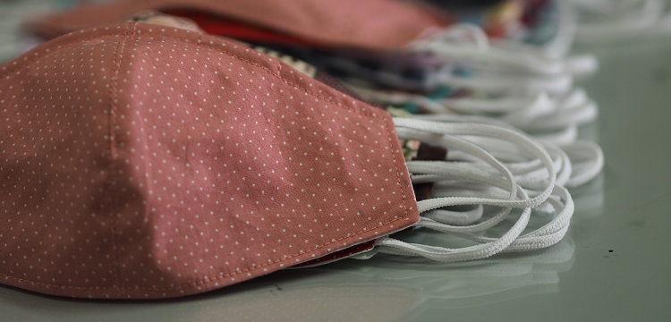 DEX诱导腭裂模型