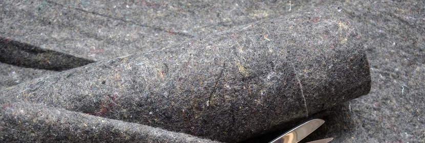 OVA诱导豚鼠哮喘模型