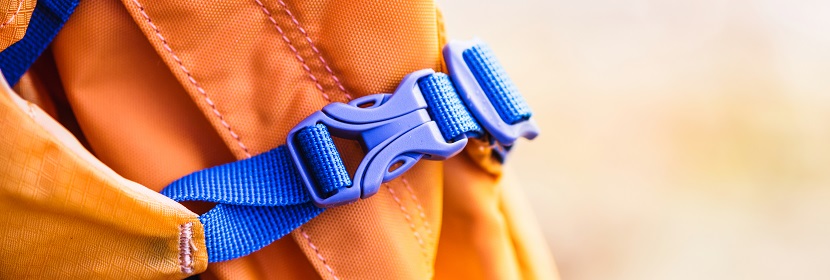 四氧嘧啶诱导的1型糖尿病小鼠