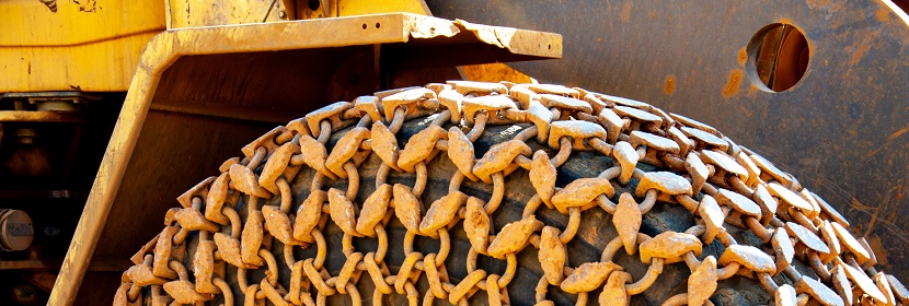 泊洛沙姆407诱导金黄仓鼠脂代谢异常