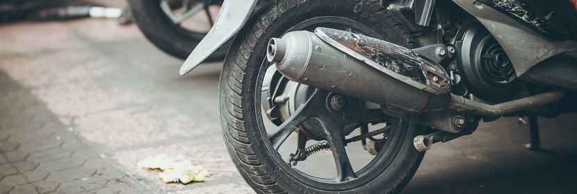 类风湿关节炎大鼠模型