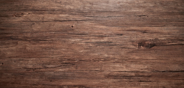 H7N9 滴鼻途径感染Lewis大鼠模型