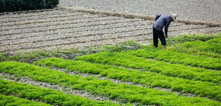 汞及其化合物检测
