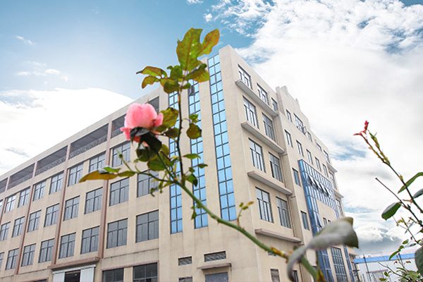 工业甲酸钾检测