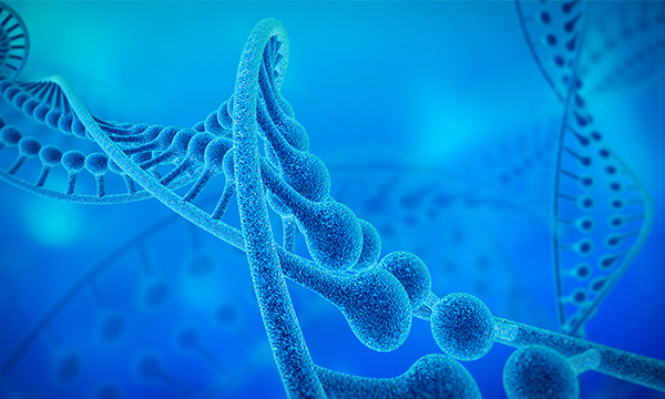 四甲基氢氧化铵检测