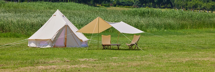 三乙基硅烷检测