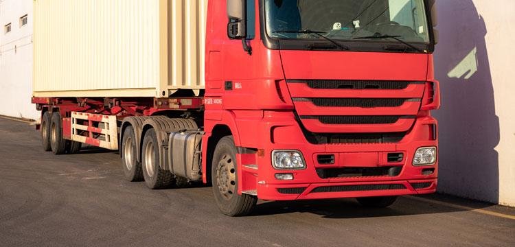 邻苯二甲酸酯试验