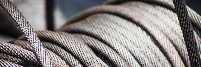 羧基丁苯胶乳检测