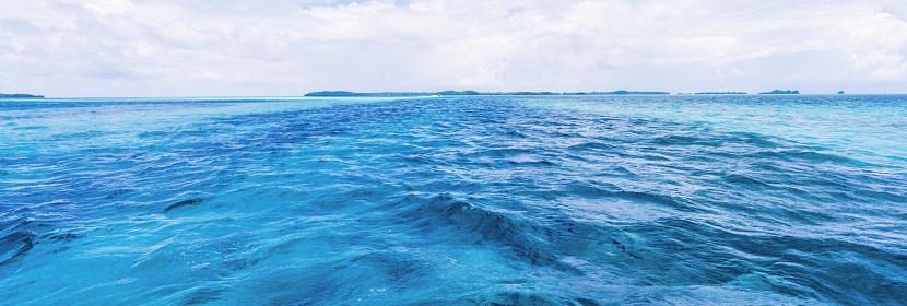 生物膜细菌检测