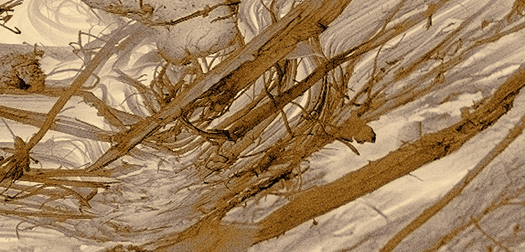 氧化诱导时间检测