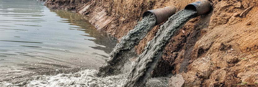 鱼类急性毒性试验