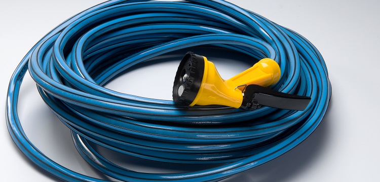 链脲霉素（STZ）诱导1型糖尿病大鼠模型