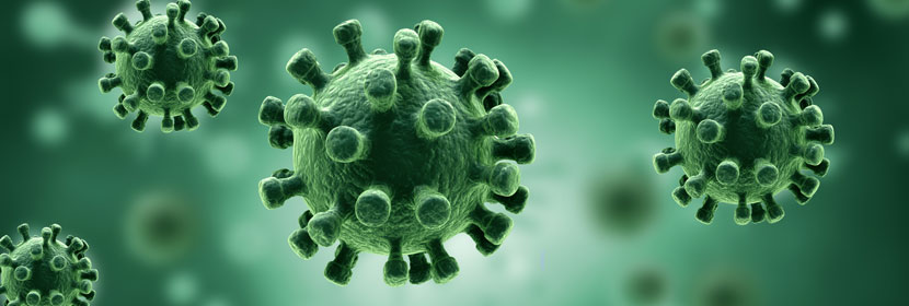 霉菌污染分析检测