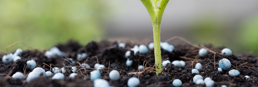 高尔夫球场草坪专用土壤调理剂检测