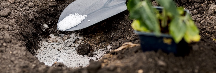 氨化硝酸钙检测