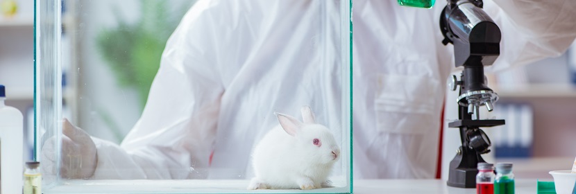 消毒剂急性吸入毒性试验