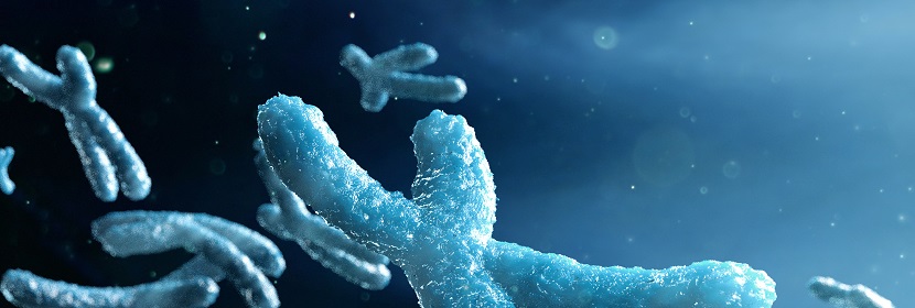 化妆品哺乳动物骨髓细胞染色体畸变试验