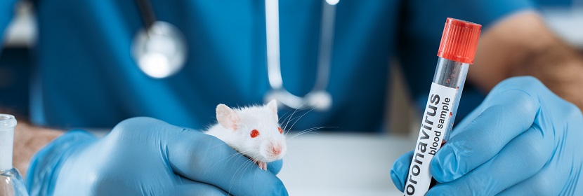 手消毒剂多次完整皮肤刺激试验