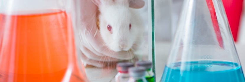 空气消毒剂急性吸入毒性试验