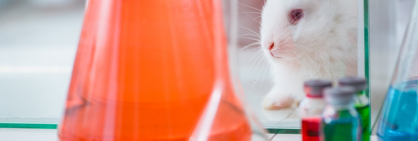 空气消毒剂急性经口毒性试验