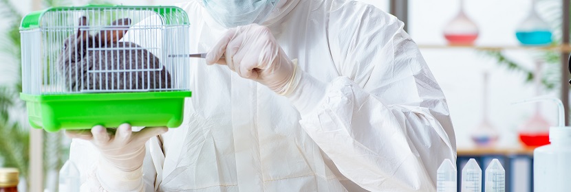 黏膜消毒剂多次阴道黏膜刺激试验（反复用）