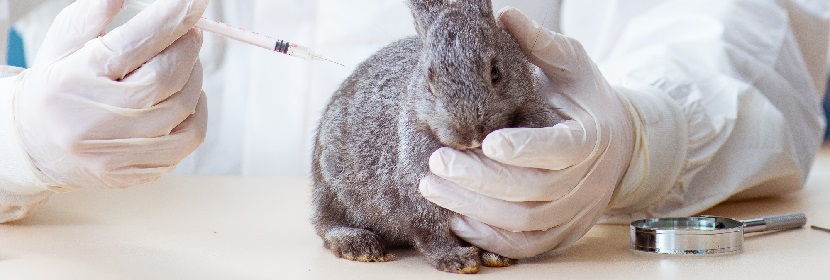 黏膜消毒剂一次阴道黏膜刺激试验(偶尔用)