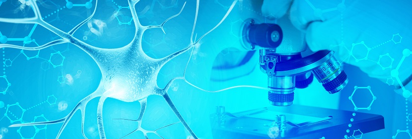 对氯间二甲苯酚消毒剂备案检测