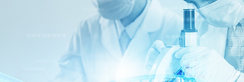 气相光催化净化用活性炭检测