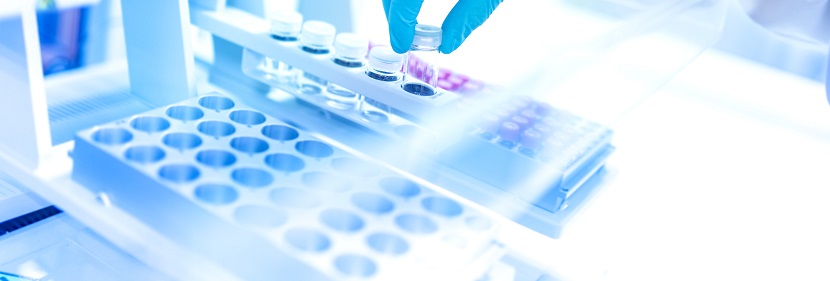 一次性纸制品降解性能评价