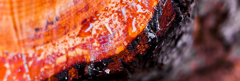 涂料用高氯化聚乙烯树脂检测