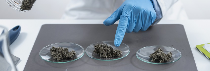 工业用异丙苯检测