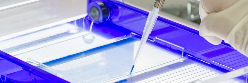 阴极电泳涂料检测