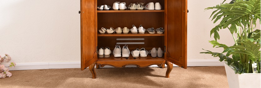 多功能电子鞋柜检测