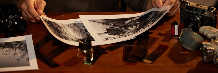 摄影 加工用化学品 对苯二酚检测