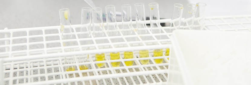 氰化物检测鉴定