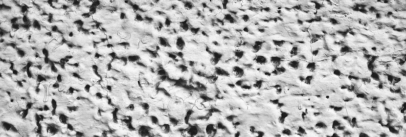 有序介孔二氧化硅检测