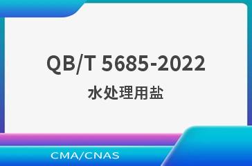 QB/T 5685-2022水处理用盐