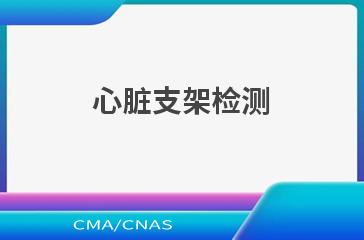 心脏支架检测