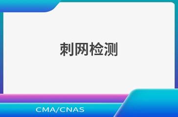 刺网检测